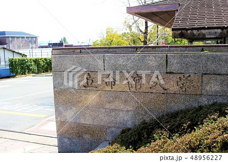 立命館大学 48956227