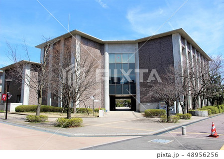 立命館大学 48956256