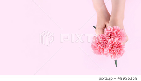 花 フラワー お花 48956358