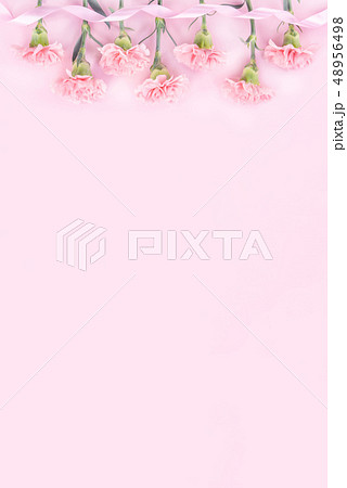 花 フラワー お花 48956498