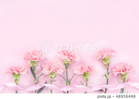 花 フラワー お花 48956499