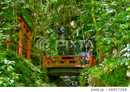 貴船　鈴鹿橋 48957268