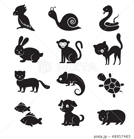 Pets And Home Animals Vector Iconsのイラスト素材