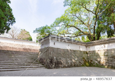 夏の飫肥城 夏の飫肥城 48957637