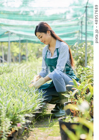 Farm worker checking sprout 48957689