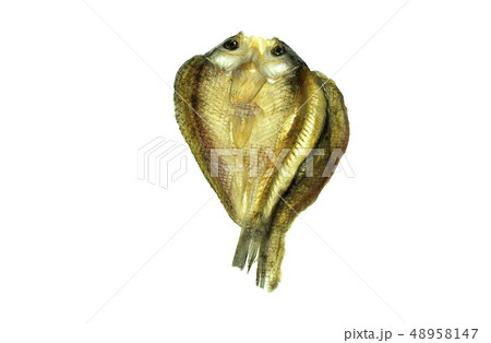 salty dried fish on white background 48958147