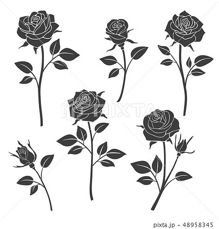 Rose Buds Vector Silhouettes Flowers Design のイラスト素材
