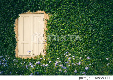 vintage window among plant wall 48959411