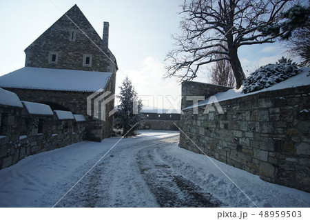 ドナウの真珠ブダペスト（ハンガリー） 48959503