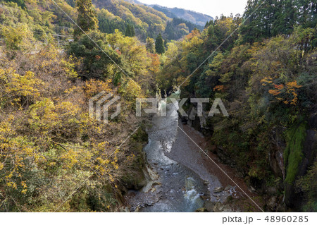紅葉の手取峡谷　不老橋からの眺め 48960285