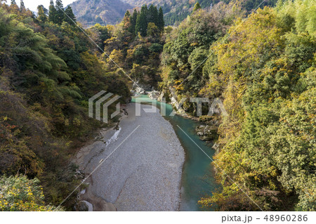紅葉の手取峡谷 48960286