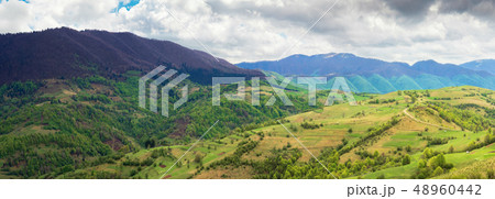 countryside of panorama in springtime. countryside of panorama in springtime. 48960442