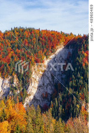 forested mountain with cliff in autumn 48960469