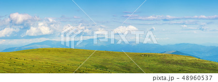 panorama of a mountain landscape in summer panorama of a mountain landscape in summer 48960537