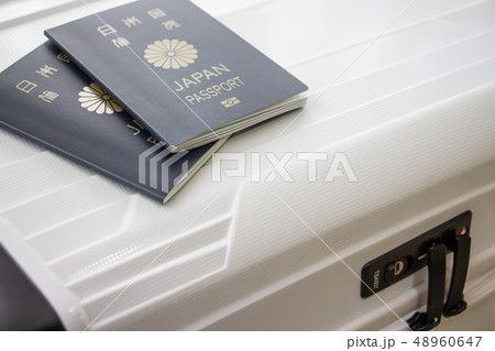 海外旅行 パスポート キャリーケース 海外旅行 パスポート キャリーケース 48960647