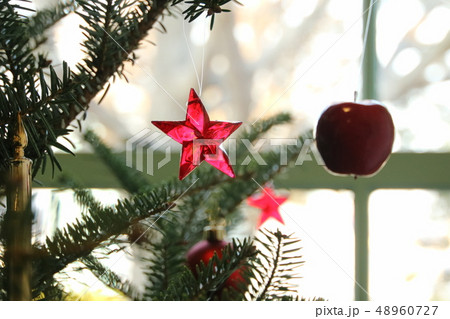 クリスマス飾り クリスマス飾り 48960727