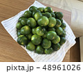 みかん フルーツ 果物 48961026