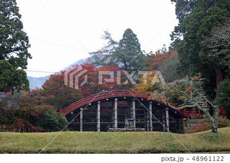 秋の丹生都比売神社 48961122