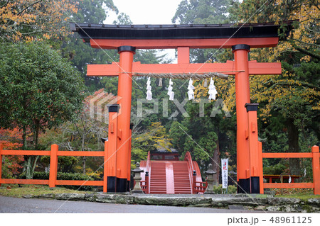秋の丹生都比売神社 秋の丹生都比売神社 48961125