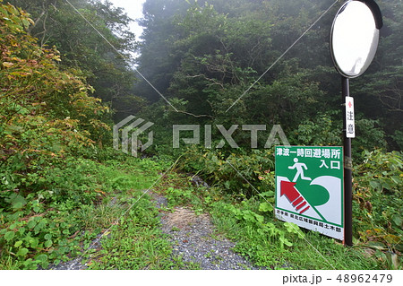 久慈―小袖漁港の道風景 48962479