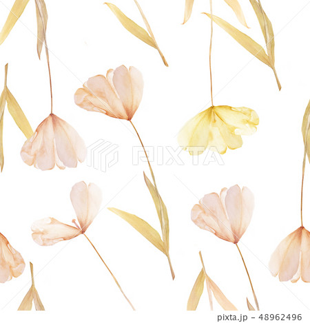 Pressed and dried tulip flowers pattern wallpaper on a white background. For use in scrapbooking Pressed and dried tulip flowers pattern wallpaper on a white background. For use in scrapbooking 48962496