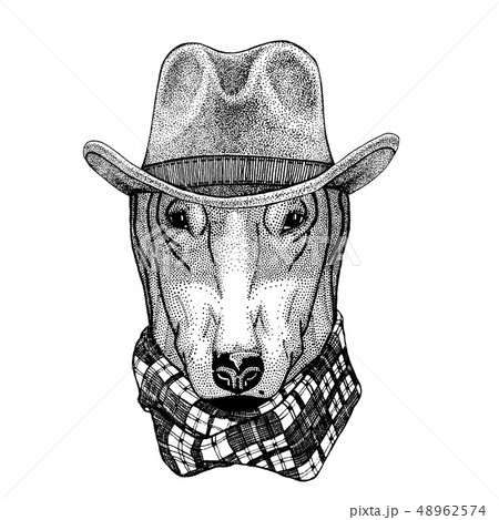 Dog wearing cowboy hat. Wild west animal. Hand drawn image for tattoo, emblem, badge, logo, patch, t 48962574
