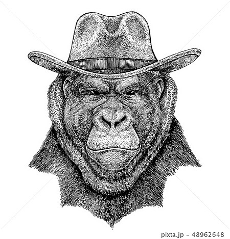 Gorilla, monkey, ape wearing cowboy hat 