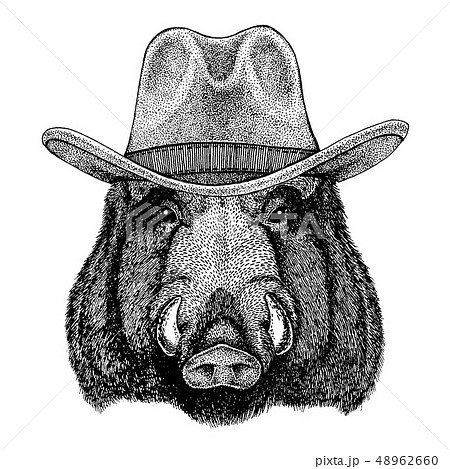 Aper, boar, hog, wild boar wearing cowboy hat. Wild west animal. Hand drawn image for tattoo, emblem 48962660