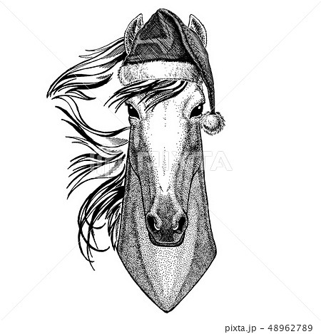 Horse, hoss, knight, steed, courser wearing christmas Santa Claus hat. Hand drawn image for tattoo Horse, hoss, knight, steed, courser wearing christmas Santa Claus hat. Hand drawn image for tattoo 48962789
