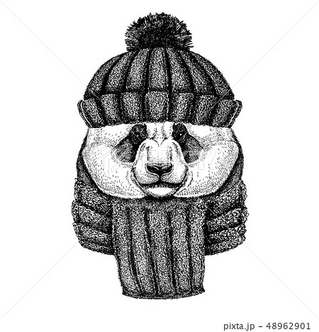 Bamboo Bear Panda Cool Animal Wearing Knitted のイラスト素材