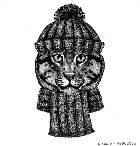 Wild Cat Fishing Cat Cool Animal Wearing のイラスト素材 Wild Cat Fishing Cat Cool Animal Wearing のイラスト素材