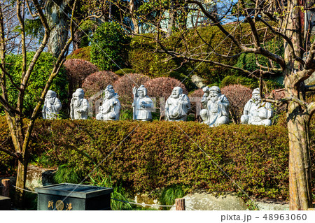 東京　板橋区　早春の乗蓮寺 48963060