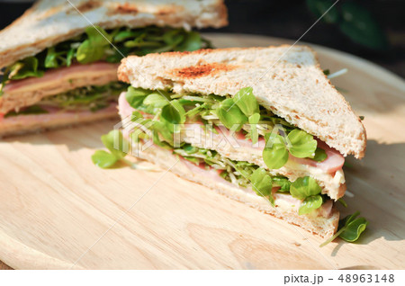 sandwich, ham and cheese sandwich sandwich, ham and cheese sandwich 48963148