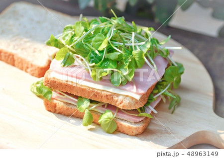 sandwich, ham and cheese sandwich 48963149