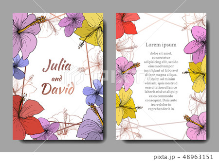Vector Hibiscus floral tropical flowers. Engraved ink art. Wedding background card floral decorative 48963151