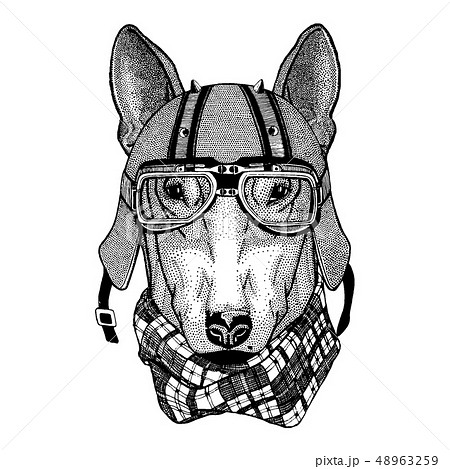 Dog wearing a motorcycle, aero helmet. Hand drawn image for tattoo, t-shirt, emblem, badge, logo 48963259