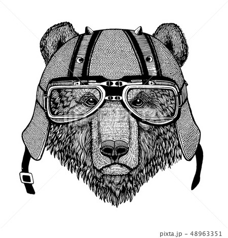 Bear wearing a motorcycle, aero helmet. Hand...のイラスト素材 [48963351] - PIXTA