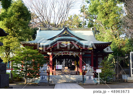 東京都中野区東中野 氷川神社 東京都中野区東中野 氷川神社 48963673