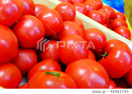 Very fresh and delicious red tomatoes. Harvest and sell in France. Very fresh and delicious red tomatoes. Harvest and sell in France. 48963793