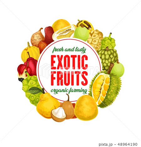 Exotic fruits isolated vector banner 48964190