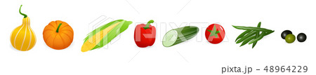 Vector vegetables set isolated on white background 48964229