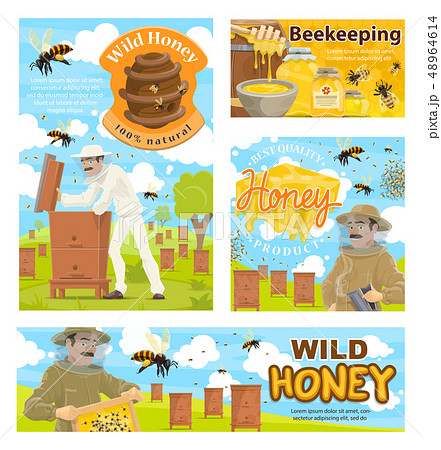 Apiarist, beekeeping farm and beehive Apiarist, beekeeping farm and beehive 48964614