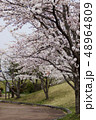 桜の咲く公園 48964809