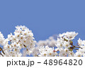 桜 48964820