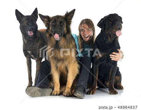 woman and dogs 48964837