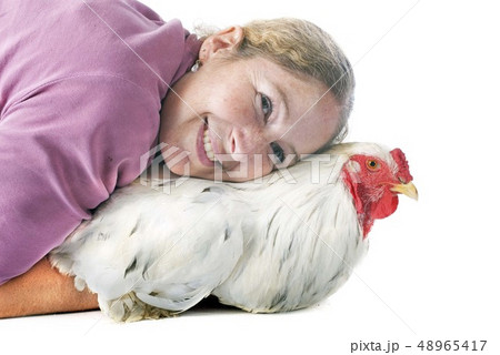 brahma rooster and girl 48965417