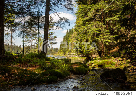 Landscape at the small Arbersee in Bavaria Landscape at the small Arbersee in Bavaria 48965964