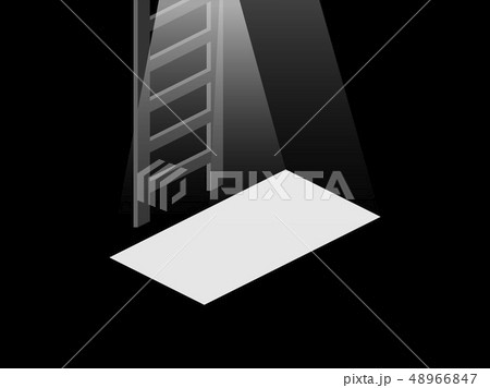 Light from the open door to the basement. Stairs 48966847