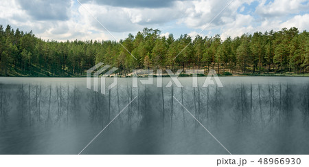 Collage green living forest and reflection in the lake of naked dead forest. The concept of climate Collage green living forest and reflection in the lake of naked dead forest. The concept of climate 48966930