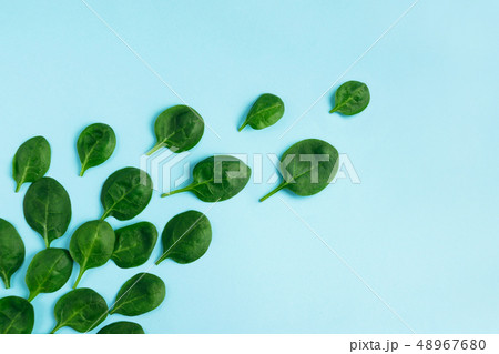 Green fresh vegetarian salad leaves on blue background. Top view. Green fresh vegetarian salad leaves on blue background. Top view. 48967680